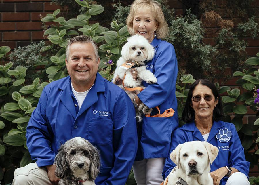 A group of people holding therapy dogs